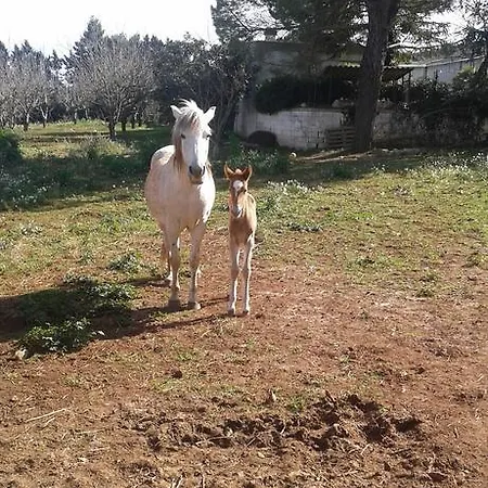 Farma Beethoven *
